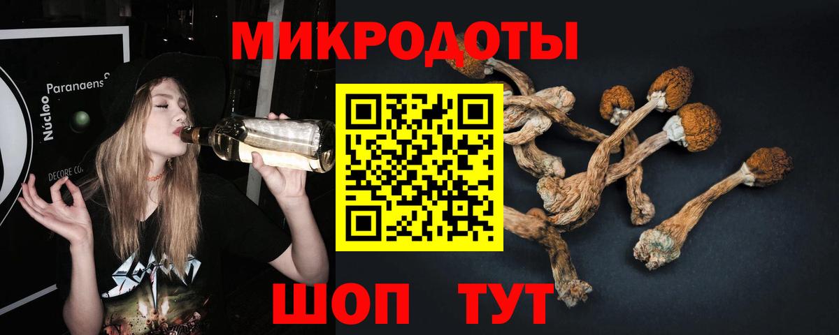 Псилоцибиновые грибы Magic Shrooms  Вход с VPN  Мариинск  Галлюциногенные грибы Psilocybine cubensis 